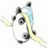 tp 34 gif